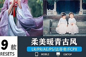 调色预设-9款柔美暖青古风调色LR预设PS唯美古风汉服古装人像达芬奇FCPX手机版APP滤镜PR调色LUT-小新卖蜡笔