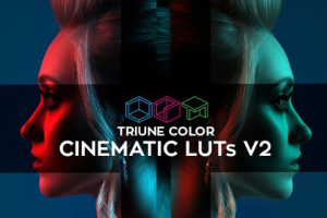 调色预设-27组电影大片风格LUTs调色预设(FCPX/PR/PS/AE/达芬奇/OFX) Triune Digital – Cinematic LUTs-小新卖蜡笔