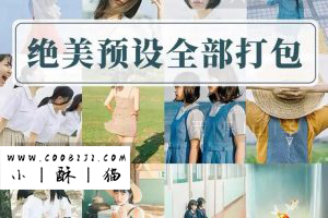 调色预设-某宝所有热门预设，可以解决你90%的调色问题！人像、婚礼、胶片、风光、赛博朋克、 橙青色调、复古、城市、INS旅拍调色等。-小新卖蜡笔
